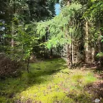 70s Wooden House On Large Natural Plot Hébergement de vacances *