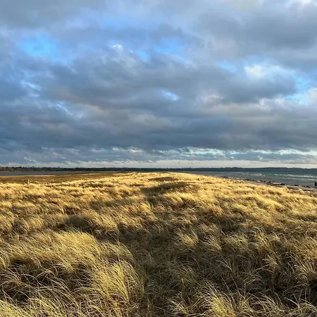 70s Wooden House On Large Natural Plot Højby
