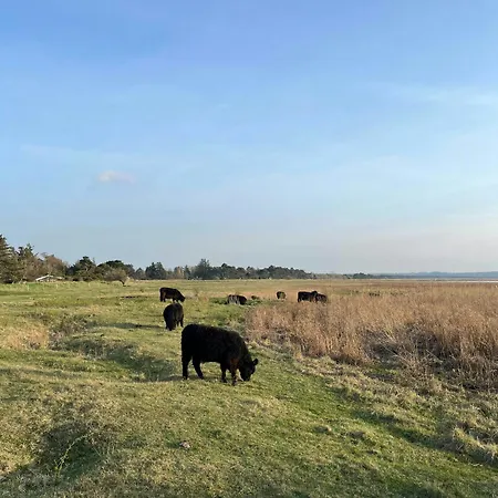 70s Wooden House On Large Natural Plot