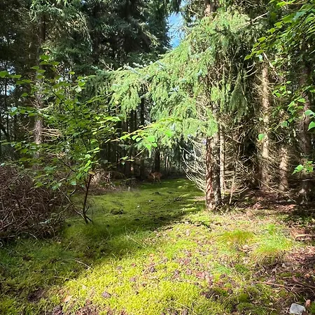 70s Wooden House On Large Natural Plot * Højby