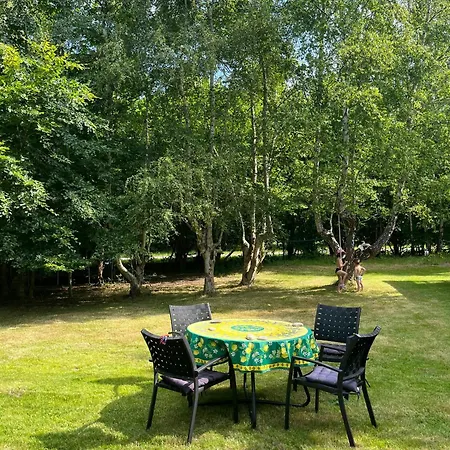 70s Wooden House On Large Natural Plot * Højby
