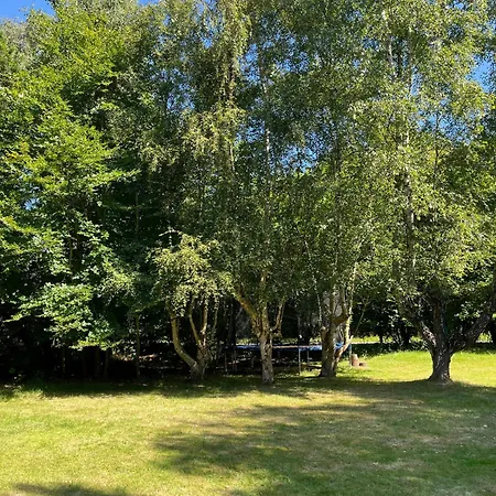 Casa de Férias 70s Wooden House On Large Natural Plot Højby
