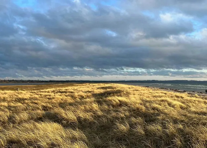 70s Wooden House On Large Natural Plot Højby