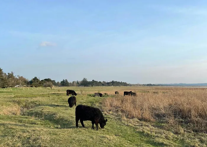 70s Wooden House On Large Natural Plot