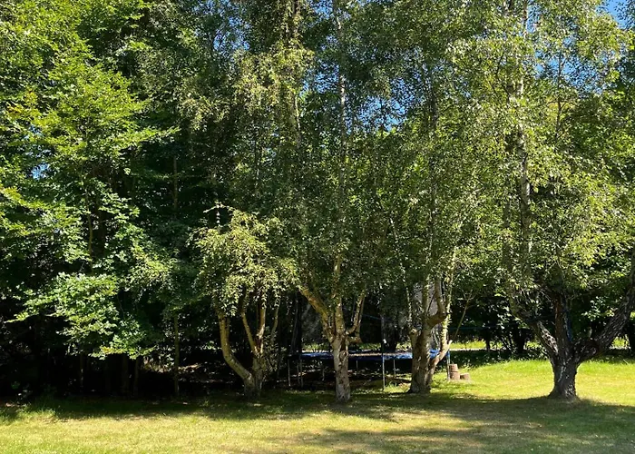 Feriehus 70s Wooden House On Large Natural Plot Højby